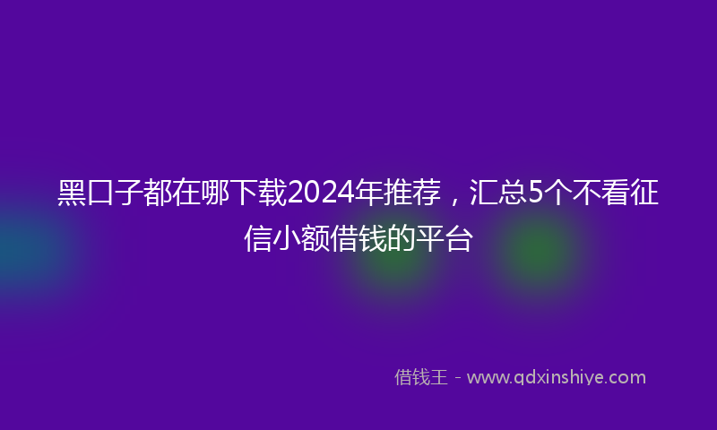 黑口子都在哪下载2024年推荐，汇总5个不看征信小额借钱的平台
