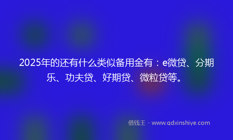 2025年的还有什么类似备用金有：e微贷、分期乐、功夫贷、好期贷、微粒贷等。