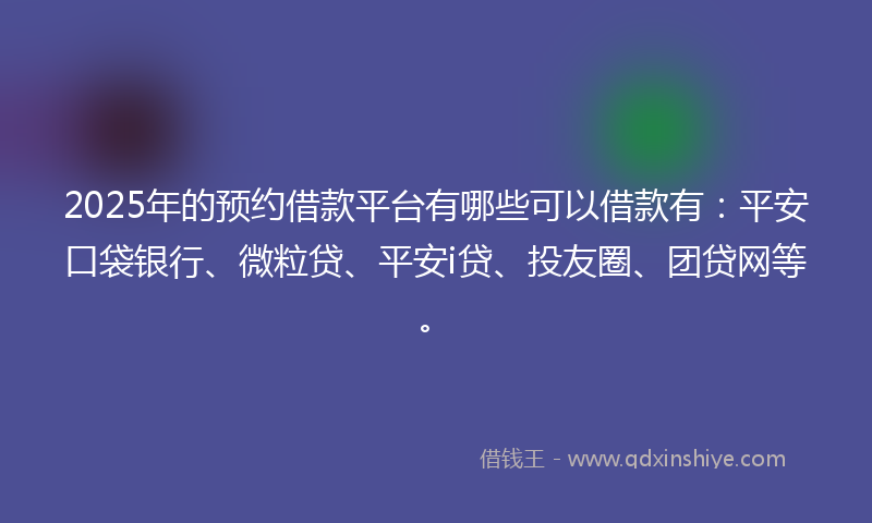 2025年的预约借款平台有哪些可以借款有：平安口袋银行、微粒贷、平安i贷、投友圈、团贷网等。