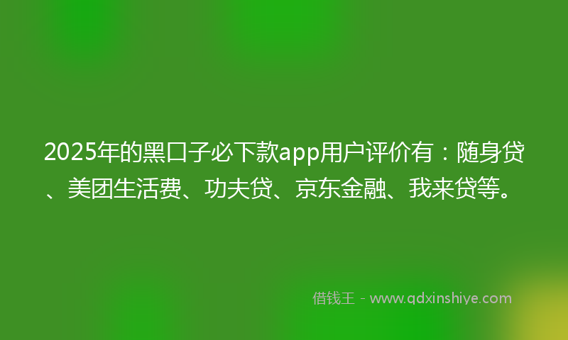 2025年的黑口子必下款app用户评价有：随身贷、美团生活费、功夫贷、京东金融、我来贷等。