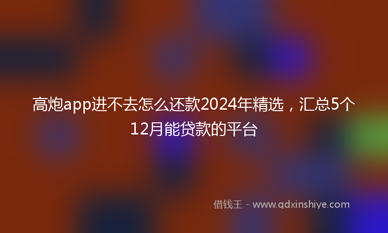 高炮app进不去怎么还款2024年精选，汇总5个12月能贷款的平台