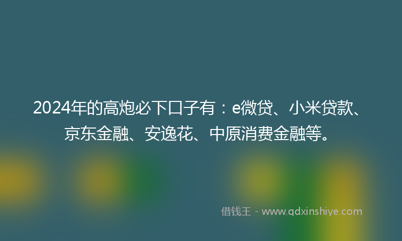 2024年的高炮必下口子有：e微贷、小米贷款、京东金融、安逸花、中原消费金融等。