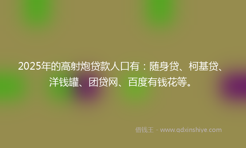 2025年的高射炮贷款人口有：随身贷、柯基贷、洋钱罐、团贷网、百度有钱花等。
