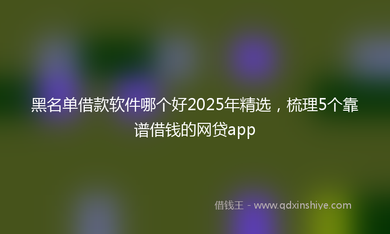 黑名单借款软件哪个好2025年精选，梳理5个靠谱借钱的网贷app