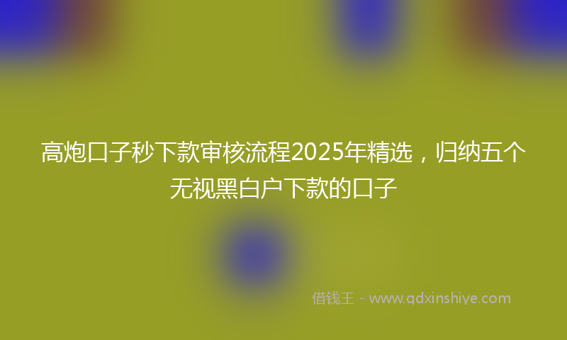 高炮口子秒下款审核流程2025年精选，归纳五个无视黑白户下款的口子