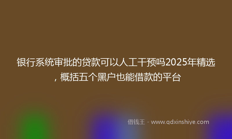 银行系统审批的贷款可以人工干预吗2025年精选，概括五个黑户也能借款的平台