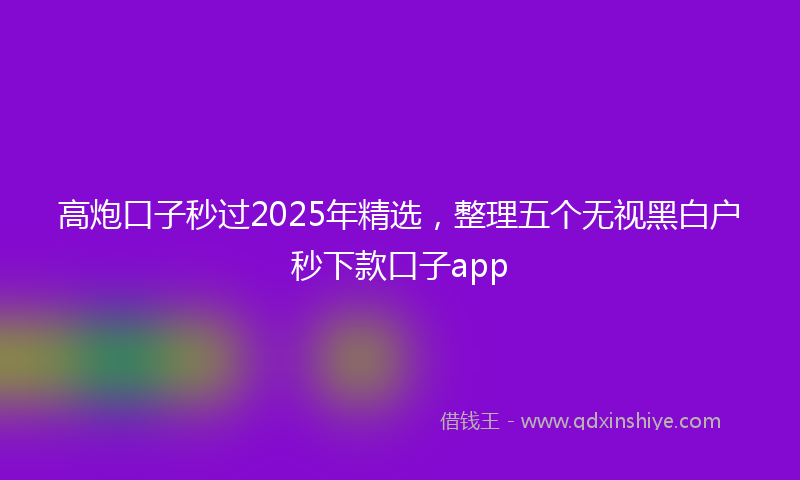高炮口子秒过2025年精选，整理五个无视黑白户秒下款口子app
