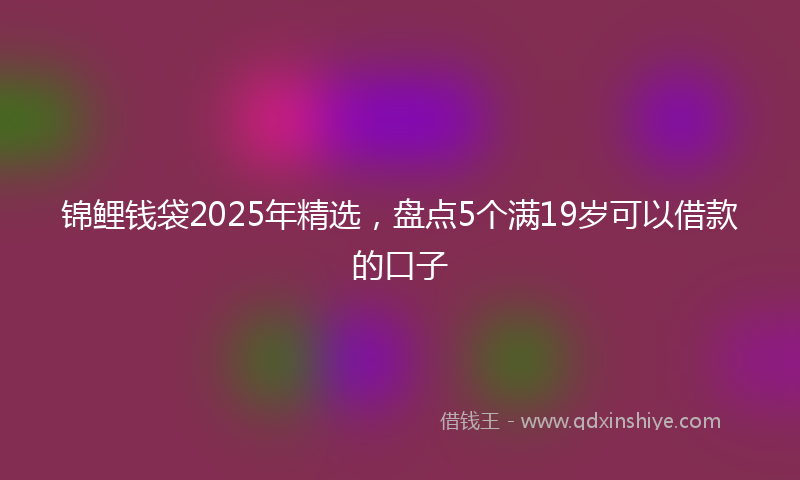 锦鲤钱袋2025年精选，盘点5个满19岁可以借款的口子