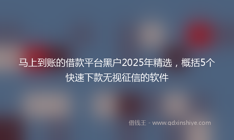马上到账的借款平台黑户2025年精选，概括5个快速下款无视征信的软件