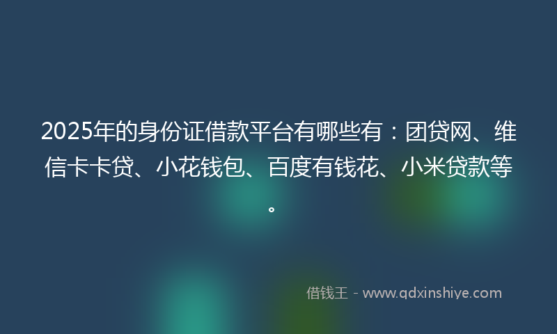 2025年的身份证借款平台有哪些有：团贷网、维信卡卡贷、小花钱包、百度有钱花、小米贷款等。