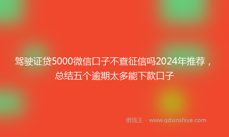 驾驶证贷5000微信口子不查征信吗2024年推荐，总结五个逾期太多能下款口子