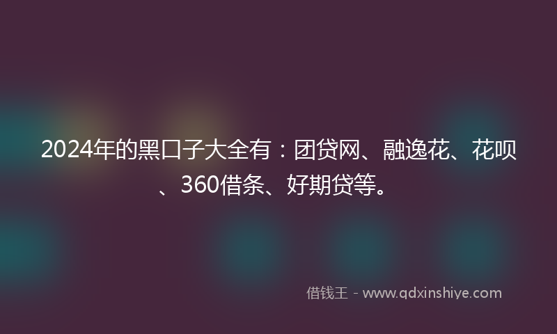 2024年的黑口子大全有：团贷网、融逸花、花呗、360借条、好期贷等。