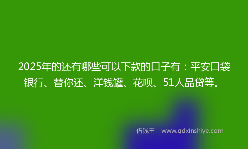 2025年的还有哪些可以下款的口子有：平安口袋银行、替你还、洋钱罐、花呗、51人品贷等。