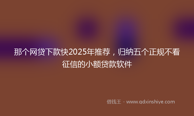 那个网贷下款快2025年推荐，归纳五个正规不看征信的小额贷款软件