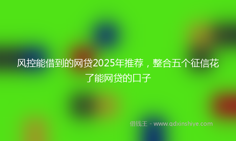 风控能借到的网贷2025年推荐，整合五个征信花了能网贷的口子