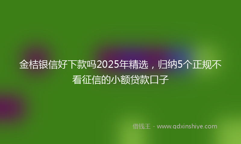 金桔银信好下款吗2025年精选，归纳5个正规不看征信的小额贷款口子