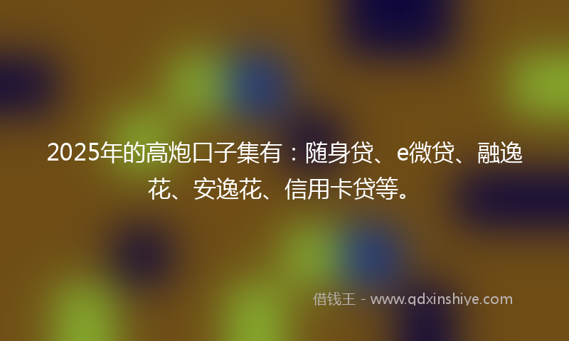2025年的高炮口子集有：随身贷、e微贷、融逸花、安逸花、信用卡贷等。