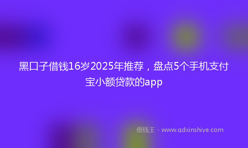 黑口子借钱16岁2025年推荐，盘点5个手机支付宝小额贷款的app