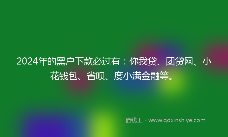 2024年的黑户下款必过有：你我贷、团贷网、小花钱包、省呗、度小满金融等。