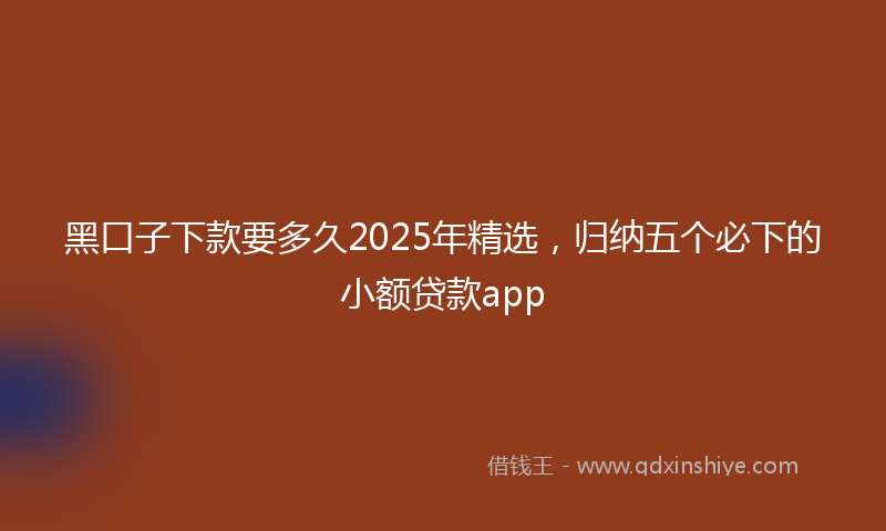 黑口子下款要多久2025年精选，归纳五个必下的小额贷款app