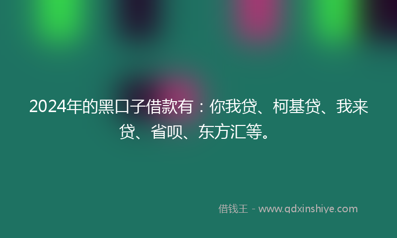2024年的黑口子借款有：你我贷、柯基贷、我来贷、省呗、东方汇等。