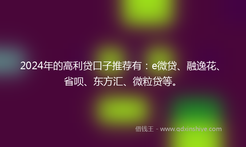 2024年的高利贷口子推荐有：e微贷、融逸花、省呗、东方汇、微粒贷等。