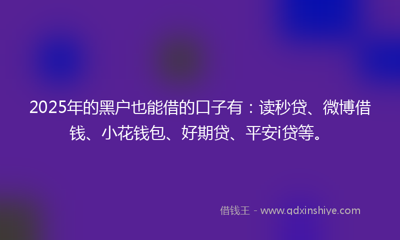 2025年的黑户也能借的口子有：读秒贷、微博借钱、小花钱包、好期贷、平安i贷等。