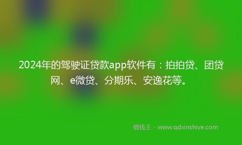 2024年的驾驶证贷款app软件有：拍拍贷、团贷网、e微贷、分期乐、安逸花等。