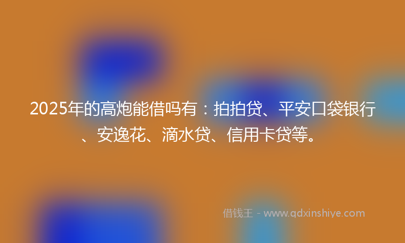 2025年的高炮能借吗有：拍拍贷、平安口袋银行、安逸花、滴水贷、信用卡贷等。
