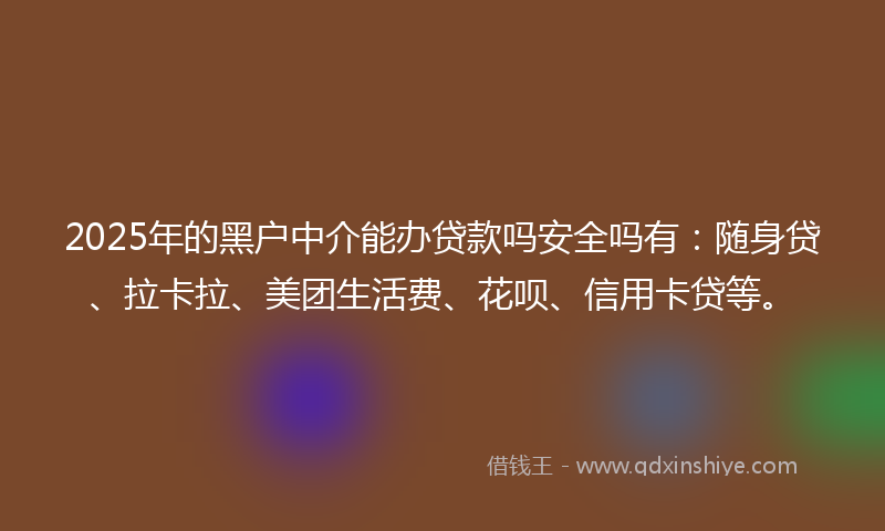 2025年的黑户中介能办贷款吗安全吗有：随身贷、拉卡拉、美团生活费、花呗、信用卡贷等。