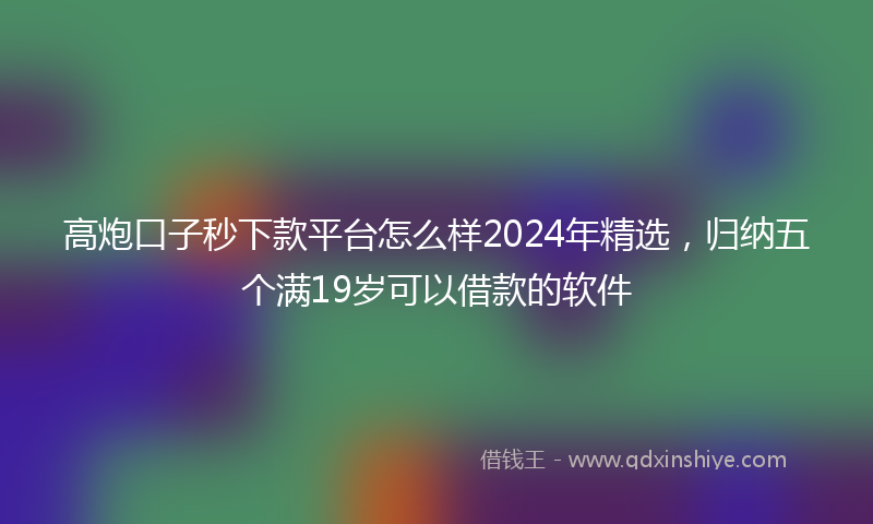 高炮口子秒下款平台怎么样2024年精选，归纳五个满19岁可以借款的软件