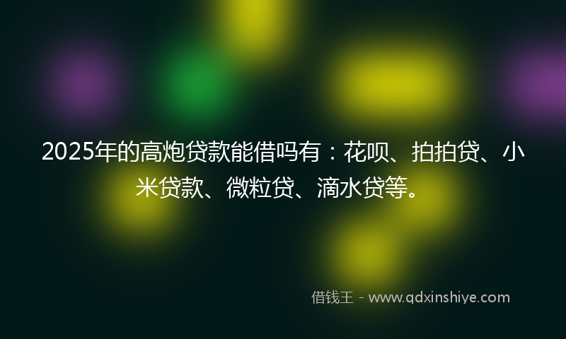2025年的高炮贷款能借吗有：花呗、拍拍贷、小米贷款、微粒贷、滴水贷等。