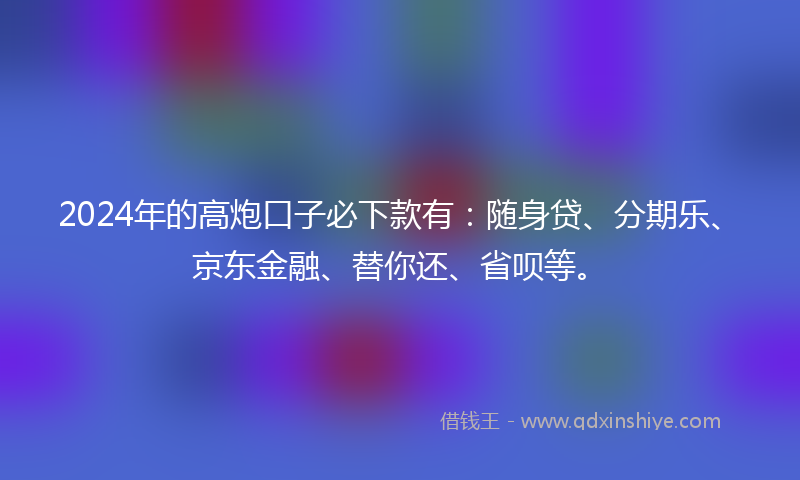 2024年的高炮口子必下款有：随身贷、分期乐、京东金融、替你还、省呗等。