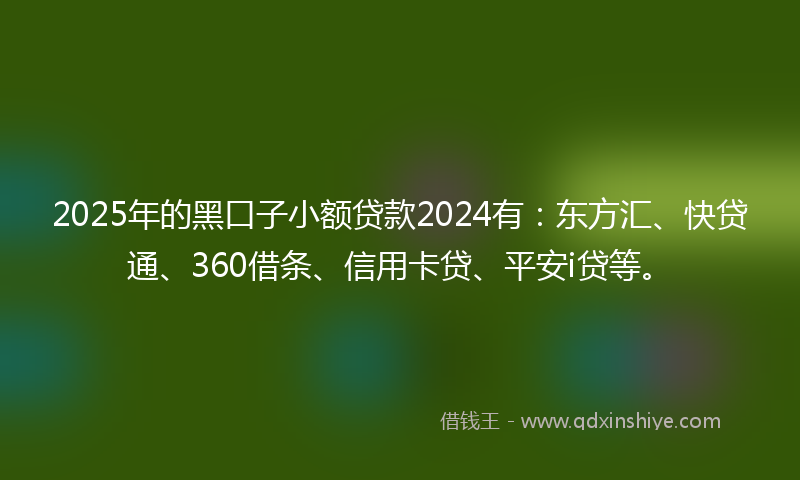 2025年的黑口子小额贷款2024有：东方汇、快贷通、360借条、信用卡贷、平安i贷等。