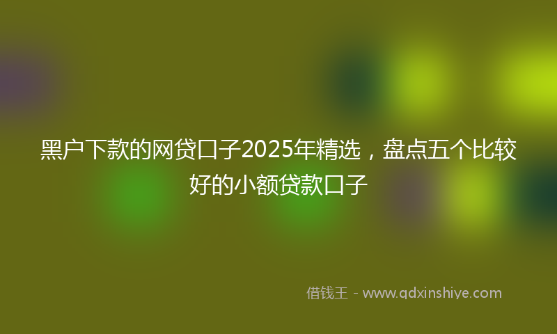 黑户下款的网贷口子2025年精选，盘点五个比较好的小额贷款口子