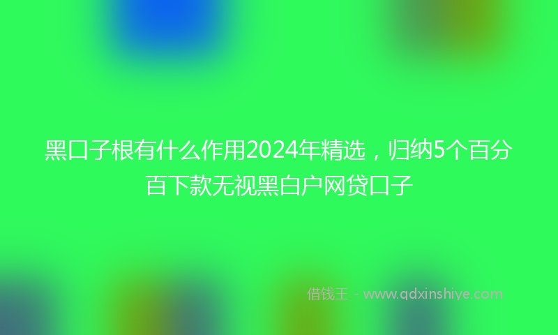 黑口子根有什么作用2024年精选，归纳5个百分百下款无视黑白户网贷口子