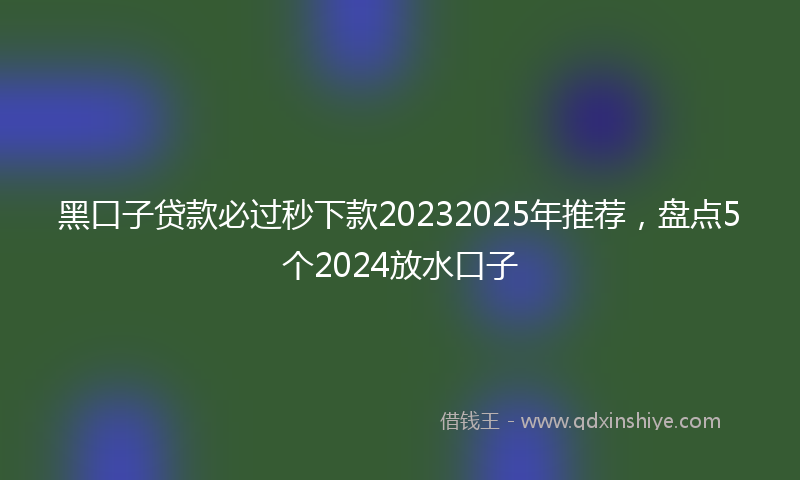 黑口子贷款必过秒下款20232025年推荐，盘点5个2024放水口子