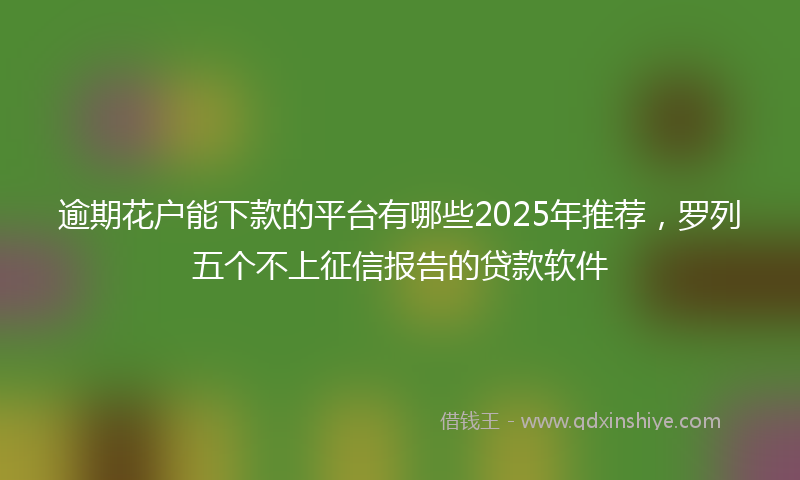 逾期花户能下款的平台有哪些2025年推荐，罗列五个不上征信报告的贷款软件