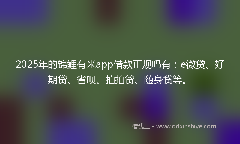 2025年的锦鲤有米app借款正规吗有：e微贷、好期贷、省呗、拍拍贷、随身贷等。