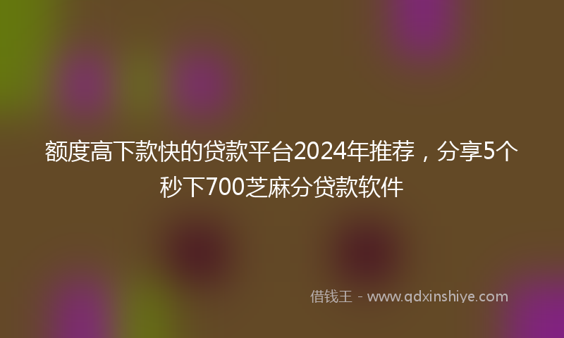 额度高下款快的贷款平台2024年推荐，分享5个秒下700芝麻分贷款软件