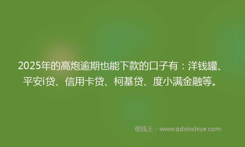 2025年的高炮逾期也能下款的口子有：洋钱罐、平安i贷、信用卡贷、柯基贷、度小满金融等。
