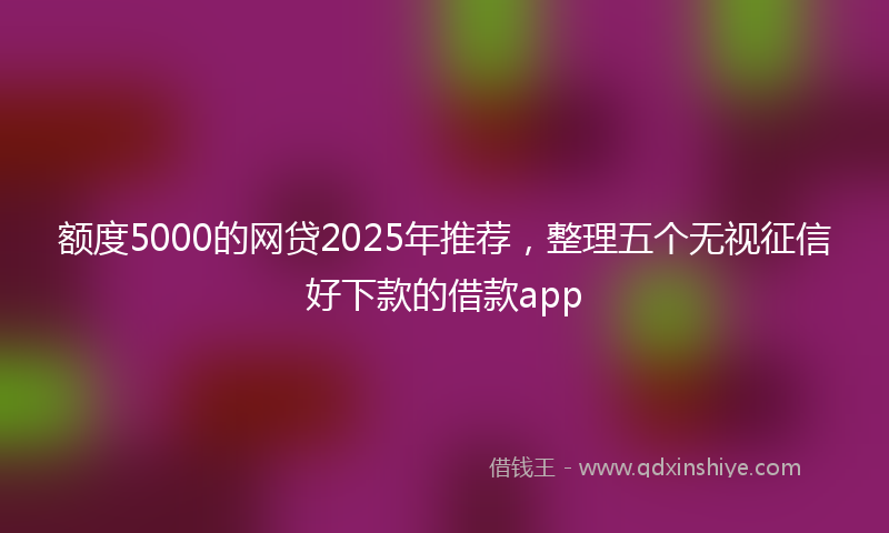 额度5000的网贷2025年推荐，整理五个无视征信好下款的借款app