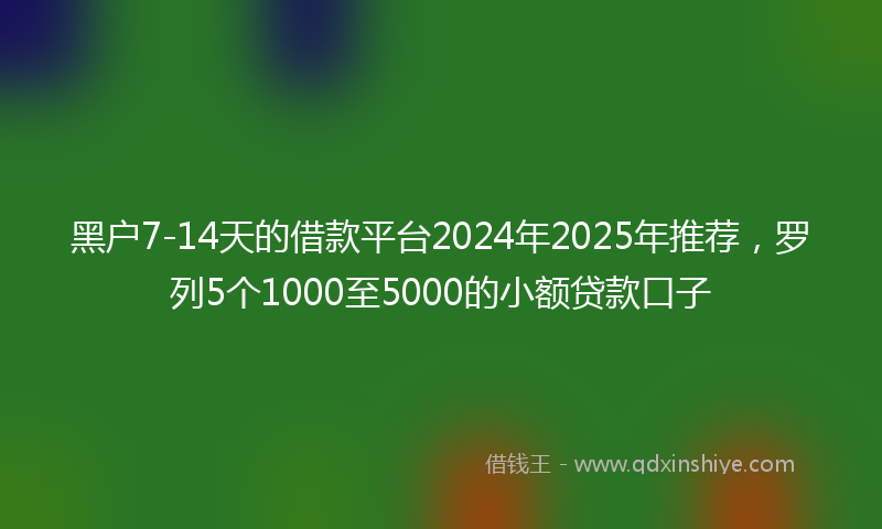 黑户7-14天的借款平台2024年2025年推荐，罗列5个1000至5000的小额贷款口子