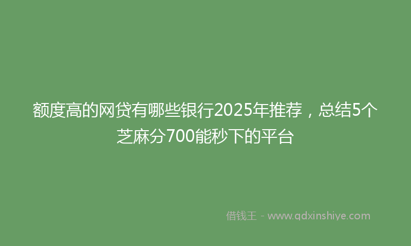额度高的网贷有哪些银行2025年推荐，总结5个芝麻分700能秒下的平台