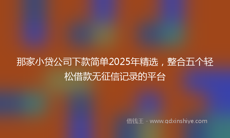 那家小贷公司下款简单2025年精选，整合五个轻松借款无征信记录的平台