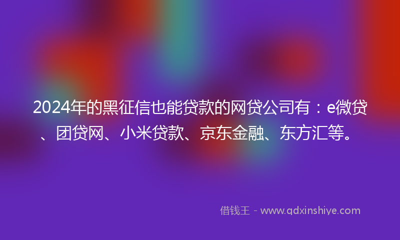 2024年的黑征信也能贷款的网贷公司有：e微贷、团贷网、小米贷款、京东金融、东方汇等。