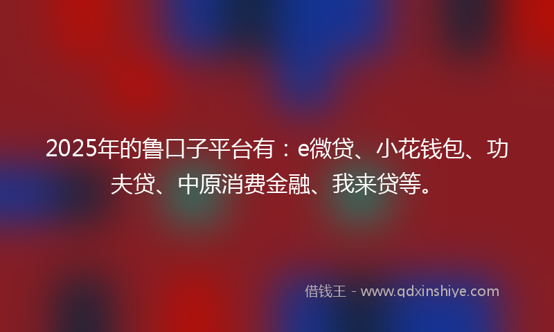 2025年的鲁口子平台有：e微贷、小花钱包、功夫贷、中原消费金融、我来贷等。