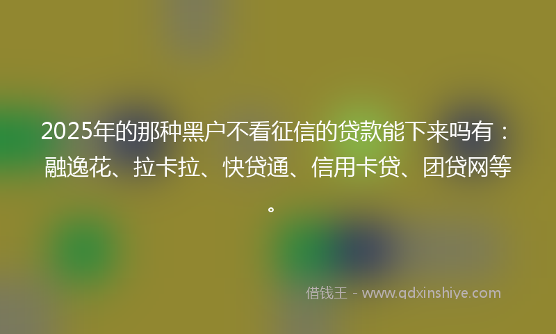 2025年的那种黑户不看征信的贷款能下来吗有：融逸花、拉卡拉、快贷通、信用卡贷、团贷网等。