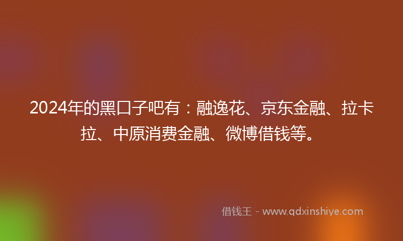 2024年的黑口子吧有：融逸花、京东金融、拉卡拉、中原消费金融、微博借钱等。