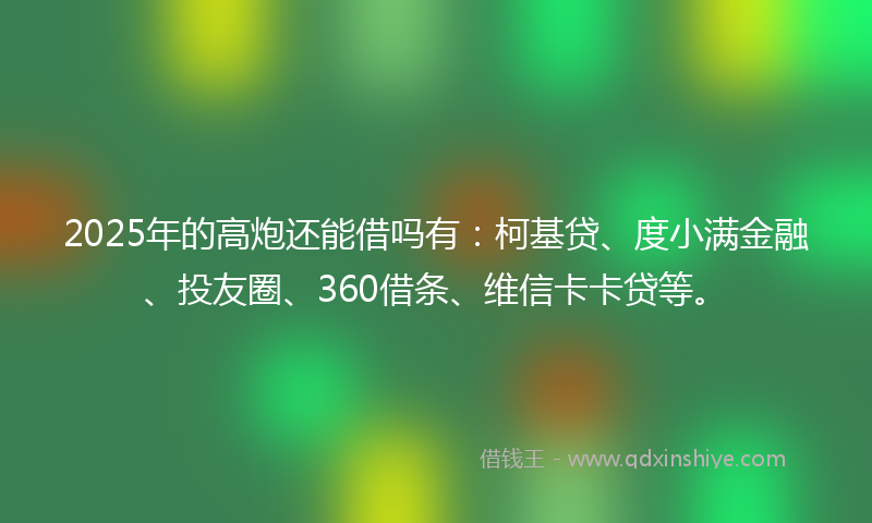 2025年的高炮还能借吗有：柯基贷、度小满金融、投友圈、360借条、维信卡卡贷等。